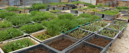 Những đổi thay trên quần đảo Trường Sa